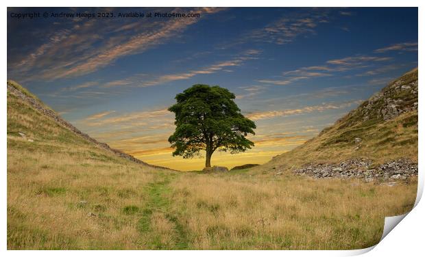  Sycamore gap  on Hadrians Wall and clouds Print by Andrew Heaps