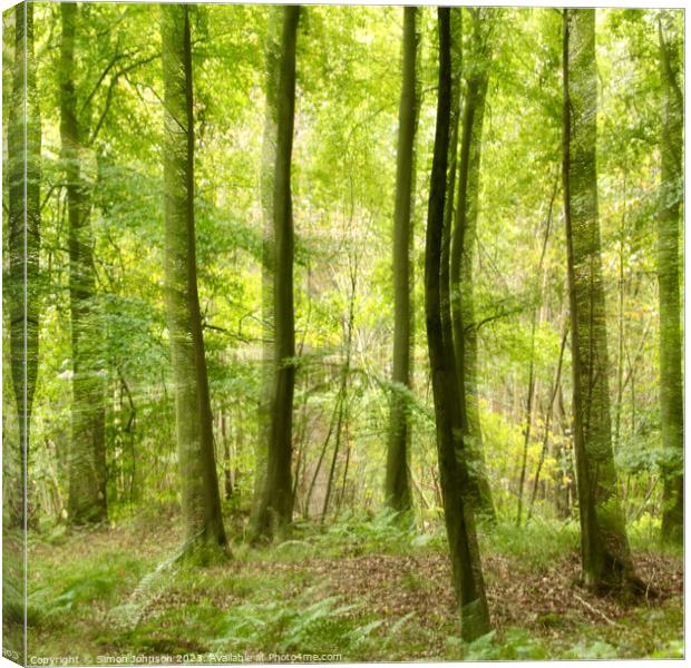 woodland with intentional camera Movement Canvas Print by Simon Johnson