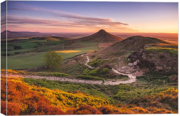 Path to Roseberry Topping framed mounted print Canvas Print by Kevin Winter