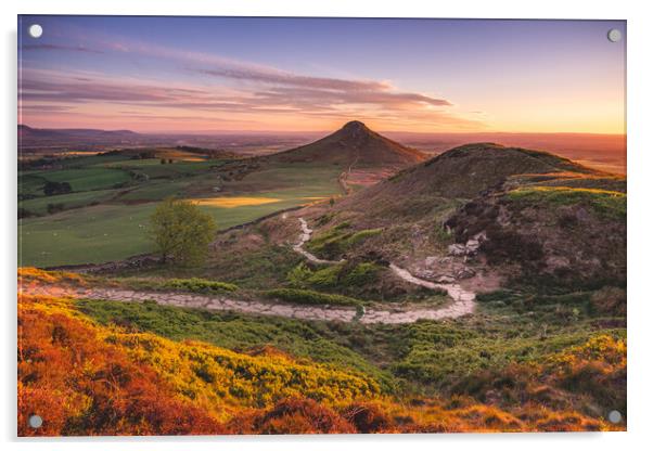 Path to Roseberry Topping framed mounted print Acrylic by Kevin Winter