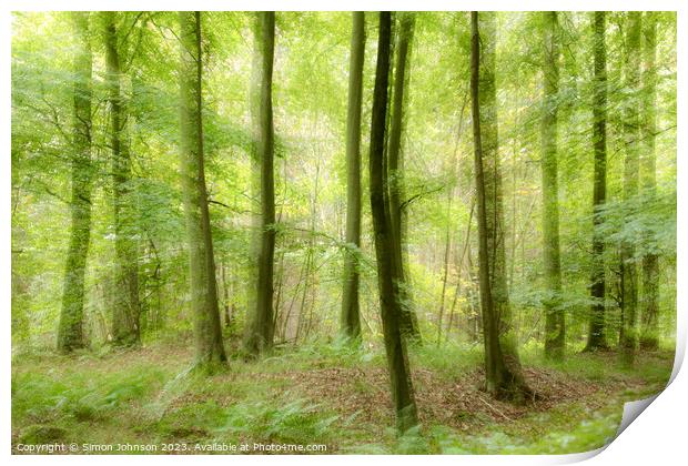 woodland with ICM and soft focus Print by Simon Johnson