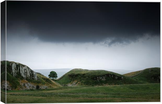 Sycamore Gap from the North Canvas Print by Mark Jones