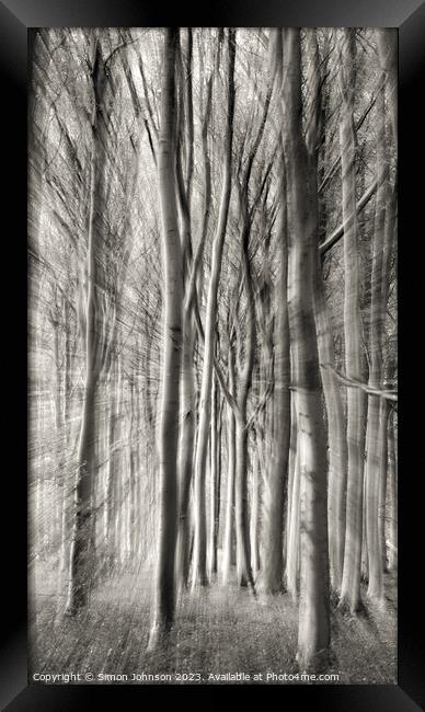  woodland monochrome  Framed Print by Simon Johnson