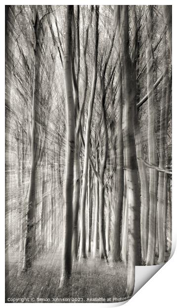  woodland monochrome  Print by Simon Johnson