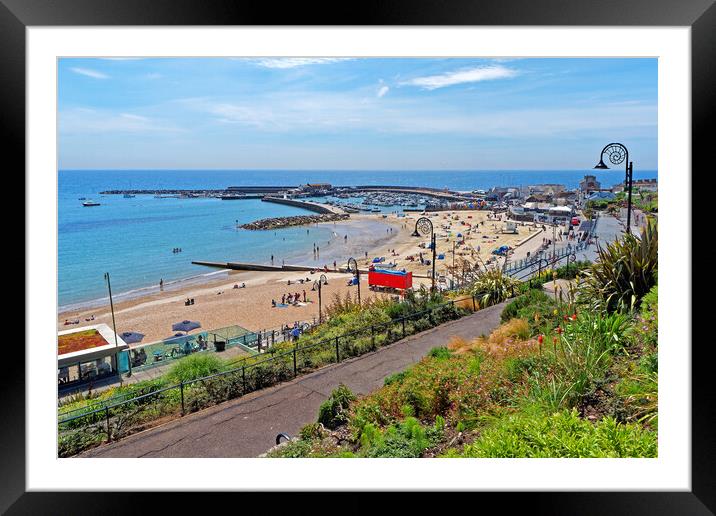 Lyme Regis Beach and Harbour  Framed Mounted Print by Darren Galpin