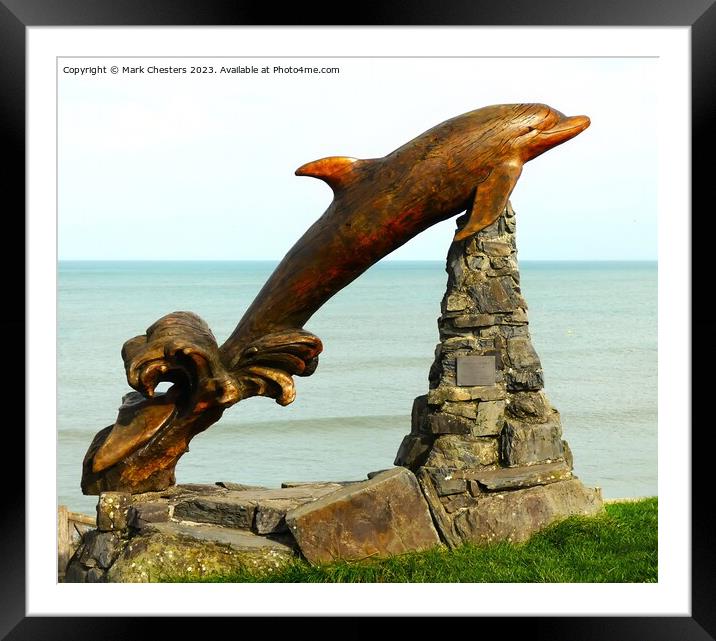 Leaping Dolphin Aberporth Framed Mounted Print by Mark Chesters
