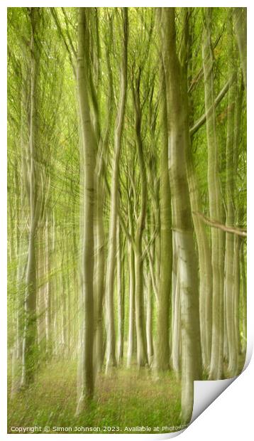 woodland Print by Simon Johnson