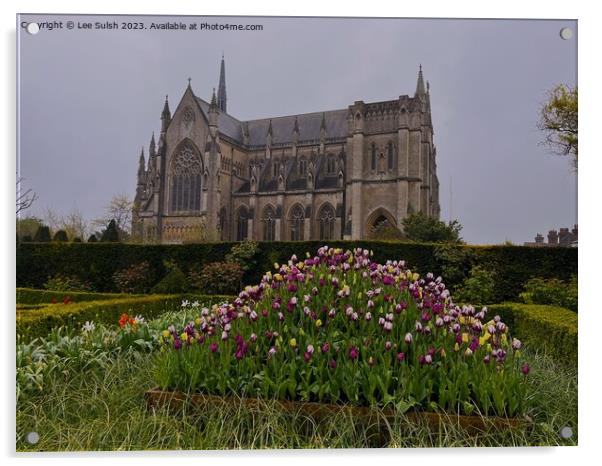 Arundel Cathedral Acrylic by Lee Sulsh