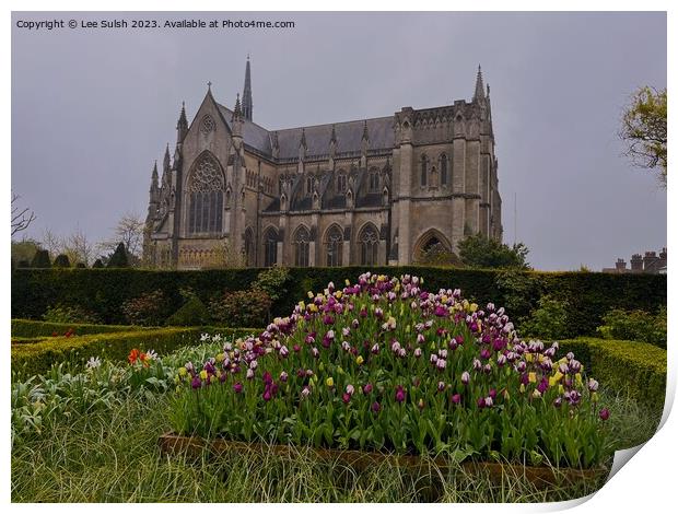 Arundel Cathedral Print by Lee Sulsh