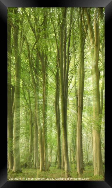 woodland Framed Print by Simon Johnson