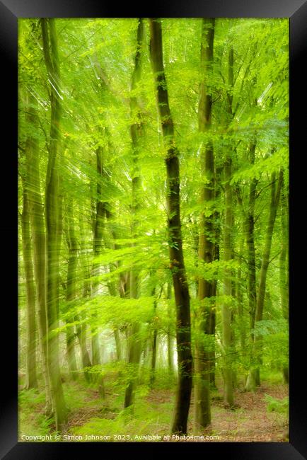 woodland Framed Print by Simon Johnson