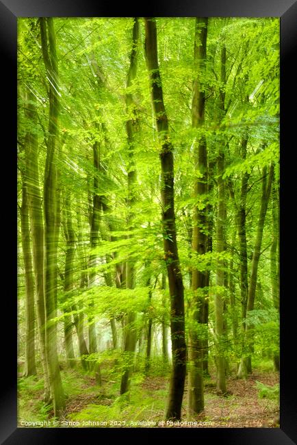 woodland  Framed Print by Simon Johnson