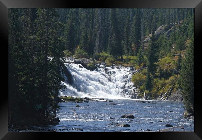 Waterfall at Yellowstone national park in Wyoming USA Framed Print by Arun 