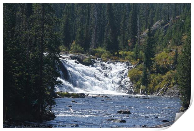 Waterfall at Yellowstone national park in Wyoming USA Print by Arun 