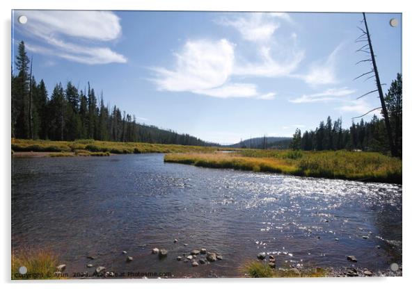 Yellowstone national park in Wyoming USA Acrylic by Arun 