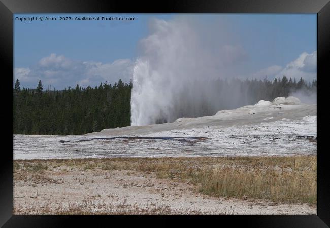 Old faithful geyser at Yellowstone national park in Wyoming USA Framed Print by Arun 