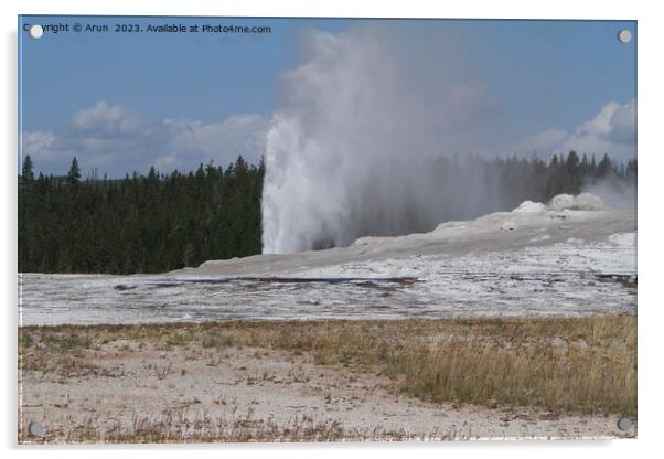 Old faithful geyser at Yellowstone national park in Wyoming USA Acrylic by Arun 