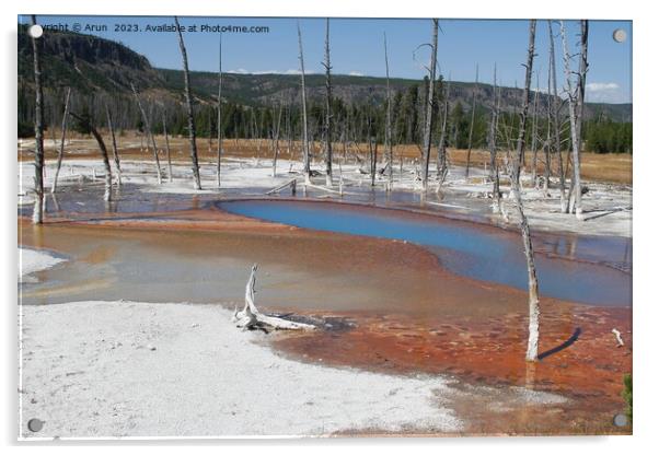 Geysers at Yellowstone national park in Wyoming USA Acrylic by Arun 