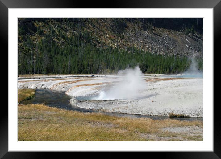 Geyser at Yellowstone national park in Wyoming USA Framed Mounted Print by Arun 