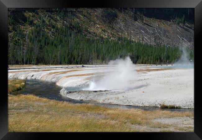 Geyser at Yellowstone national park in Wyoming USA Framed Print by Arun 