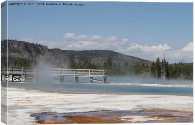 Geysers at Yellowstone national park in Wyoming USA Canvas Print by Arun 