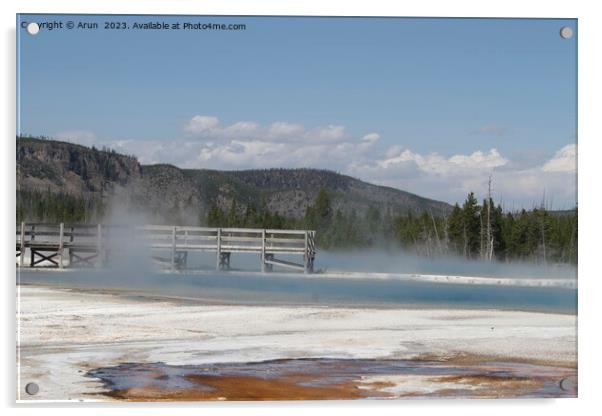 Geysers at Yellowstone national park in Wyoming USA Acrylic by Arun 