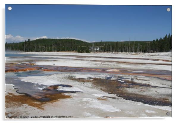 Sulfur Geysers at Yellowstone national park in Wyoming USA Acrylic by Arun 