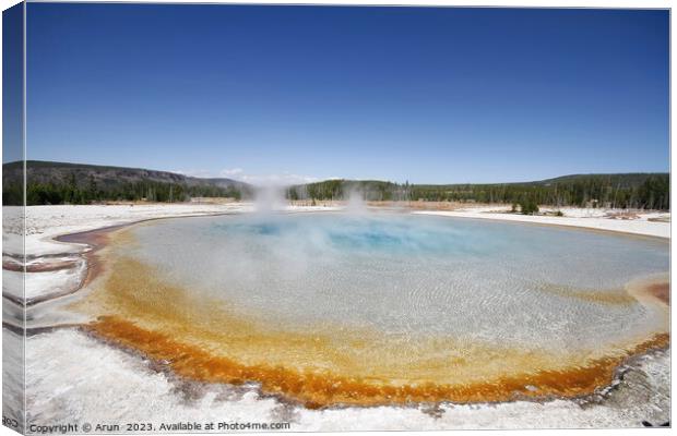 Sulfur Geysers at Yellowstone national park in Wyoming USA Canvas Print by Arun 