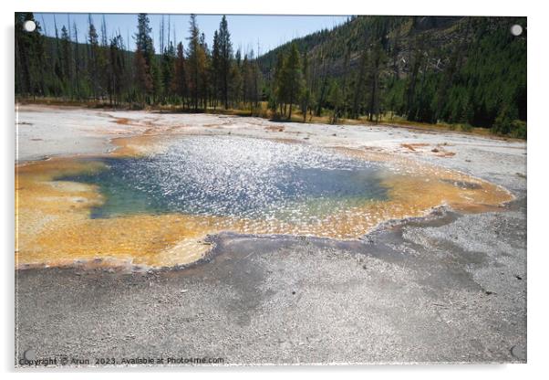 Sulfur Geysers at Yellowstone national park in Wyoming USA Acrylic by Arun 