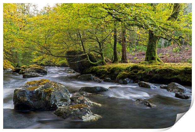 Croe Water, Argyll Print by Rich Fotografi 