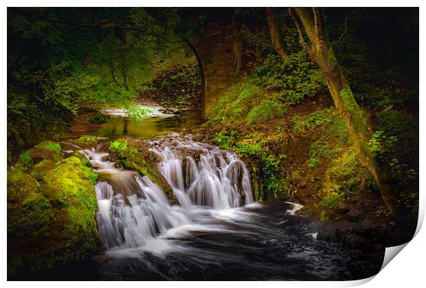 Arbirlot Waterfall near Arbroath Scotland. Print by DAVID FRANCIS