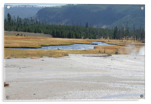 Sulfur Geysers at Yellowstone national park in Wyoming USA Acrylic by Arun 