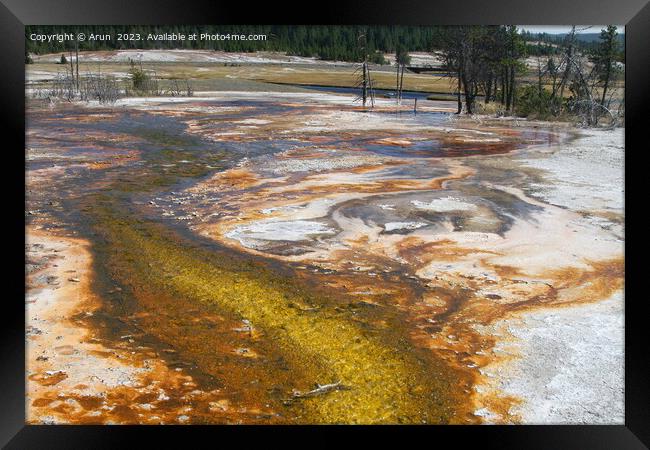 Sulfur Geysers at Yellowstone national park in Wyoming USA Framed Print by Arun 