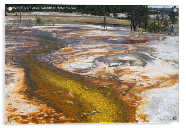 Sulfur Geysers at Yellowstone national park in Wyoming USA Acrylic by Arun 