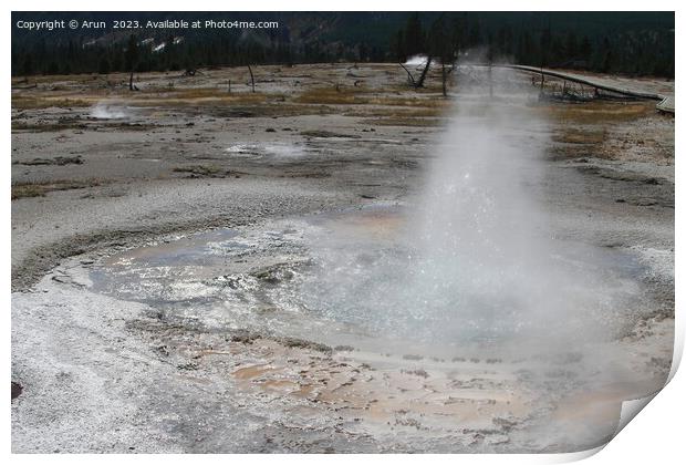 Sulfur Geysers at Yellowstone national park in Wyoming USA Print by Arun 