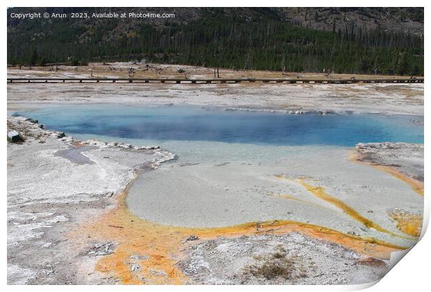 Sulfur Geysers at Yellowstone national park in Wyoming USA Print by Arun 