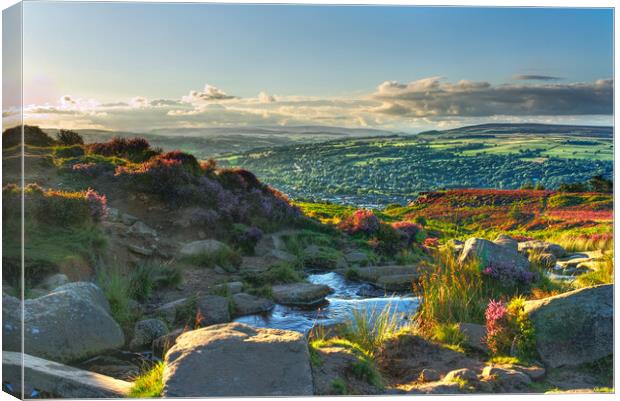 A Summer Evening on Ilkley Moor Canvas Print by Alison Chambers