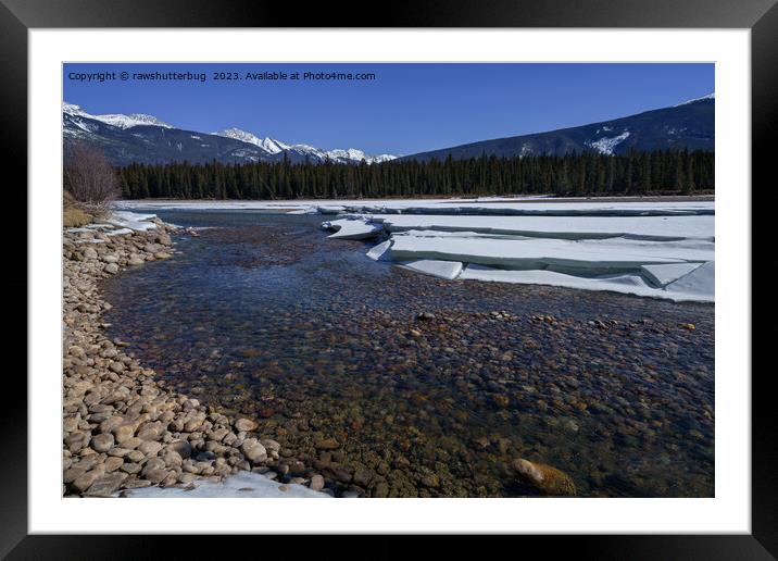 Winter Along the Athabasca River Framed Mounted Print by rawshutterbug 