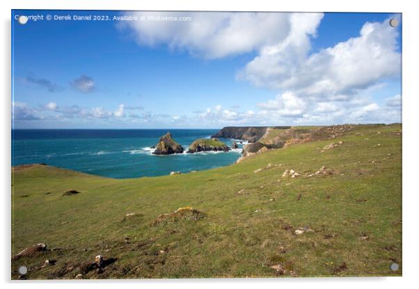 The coastline around Kynance Cove in Cornwall Acrylic by Derek Daniel