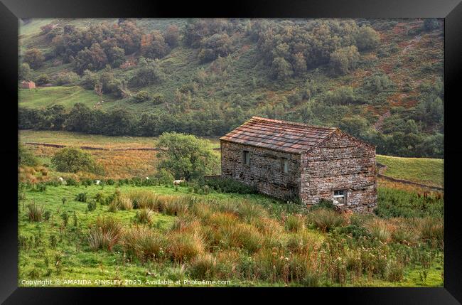 Stone Barn at Angram in The Yorkshire Dales Framed Print by AMANDA AINSLEY