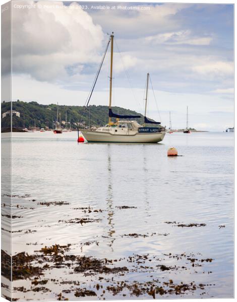 Tranquil Menai Strait Anglesey Canvas Print by Pearl Bucknall