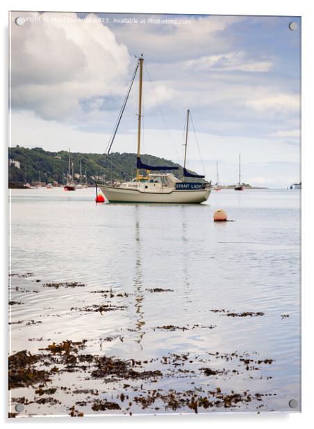Tranquil Menai Strait Anglesey Acrylic by Pearl Bucknall