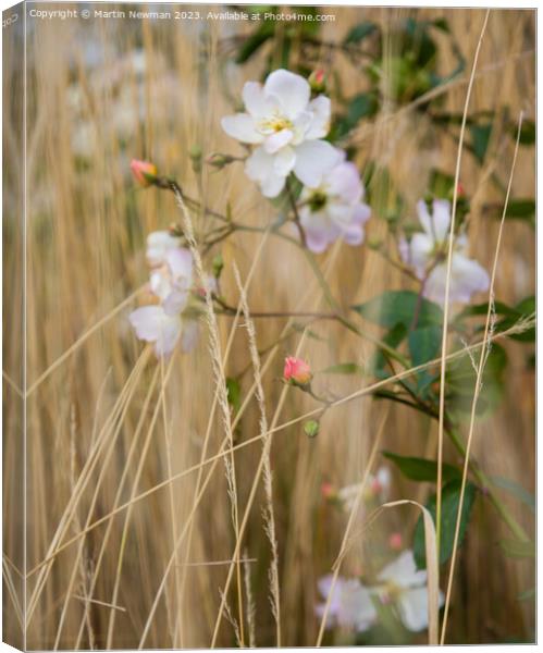 Outdoor field Canvas Print by Martin Newman