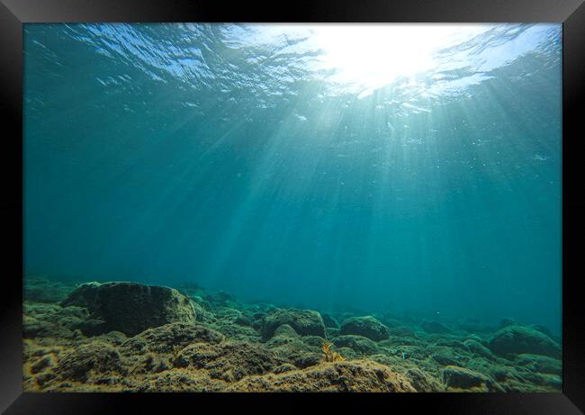 the sun under water Framed Print by kathy white