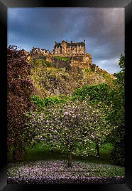 Edinburgh Castle In Spring Framed Print by Artur Bogacki