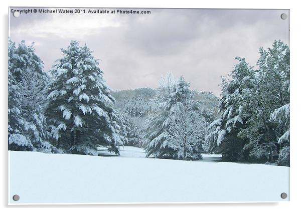Snow covered Countryside Acrylic by Michael Waters Photography