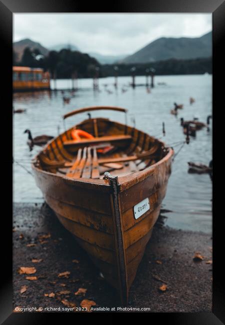 All Aboard Framed Print by richard sayer