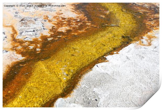 Sulfur Geysers at Yellowstone national park in Wyoming USA Print by Arun 