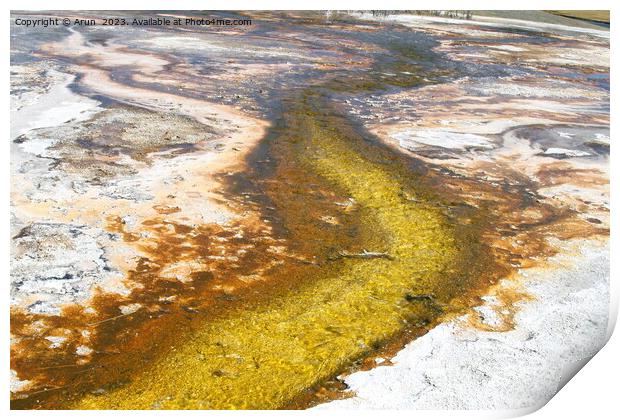 Sulfur Geysers at Yellowstone national park in Wyoming USA Print by Arun 