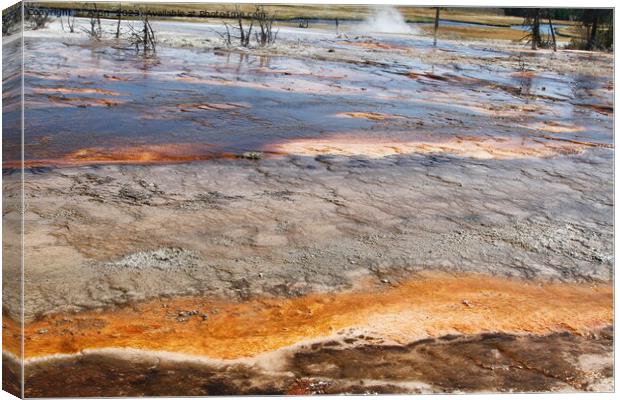 Sulfur Geysers at Yellowstone national park in Wyoming USA Canvas Print by Arun 